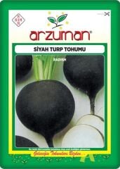 Siyah Turp Tohumu (10 gr)