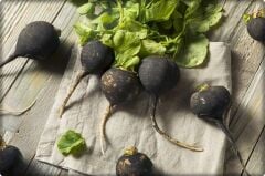 Siyah Turp Tohumu (10 gr)