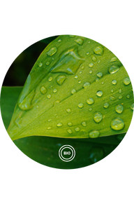 Yayıcı - Yapıştırıcı