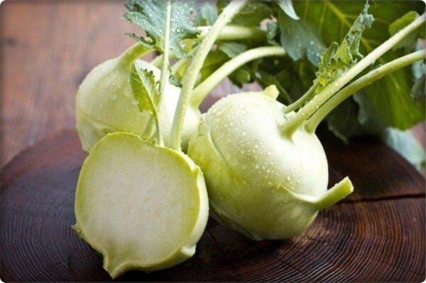 Alabaş Tohumu (200 adet)