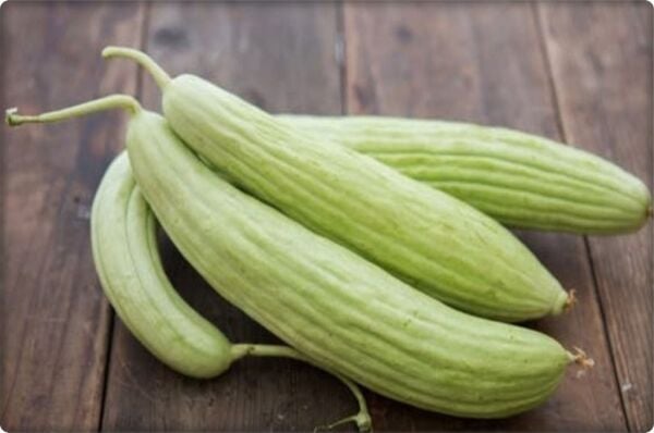 Acur Tohumu (10 Gr) Beyaz-Uzun Tip