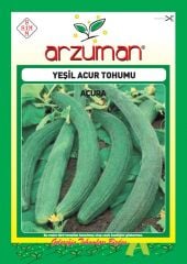 Acur Tohumu (10 Gr) Yeşil-Uzun Tip