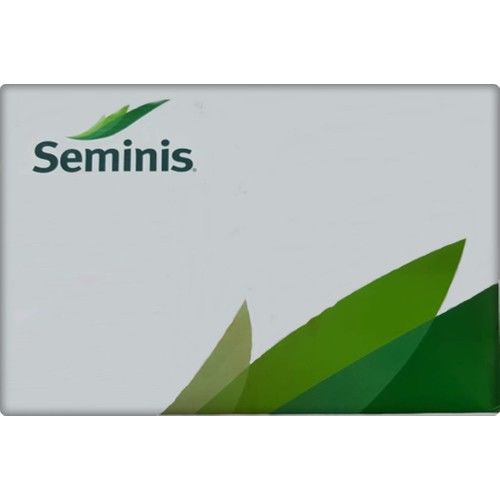 Bourgondia Fasulye Tohumu (2 Kg) Seminis