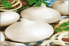 Beyaz Soğan Tohumu (5 Gr) Karbeyazı