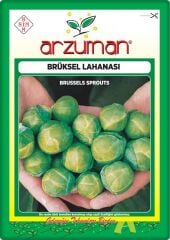 Brüksel Lahanası Tohumu (200 Adet)