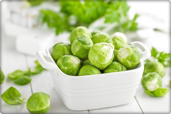 Brüksel Lahanası Tohumu (200 Adet)