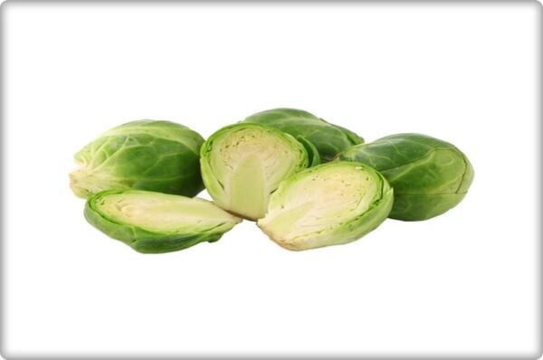 Brüksel Lahanası Tohumu (200 Adet)