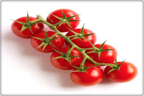 Cherry Domates Tohumu (Pinpon)(250 Adet)