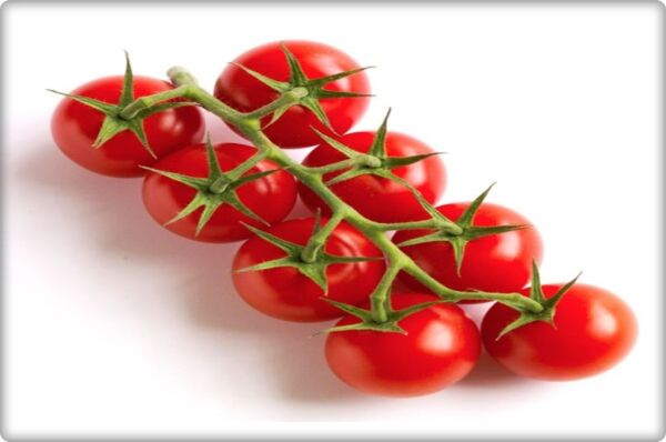 Cherry Domates Tohumu (Pinpon)(250 Adet)