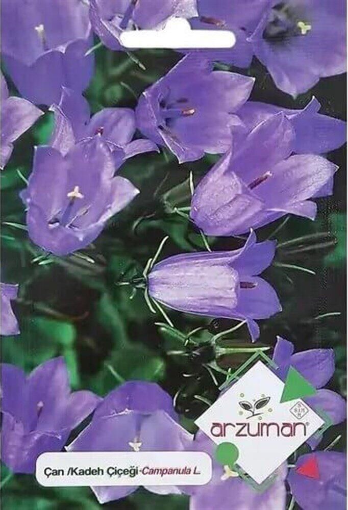 Çan/Kadeh Çiçeği Tohumu (100 Adet)