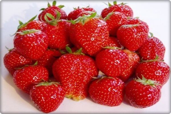 Çilek Tohumu (100 Adet)