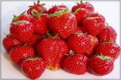 Çilek Tohumu (100 Adet)