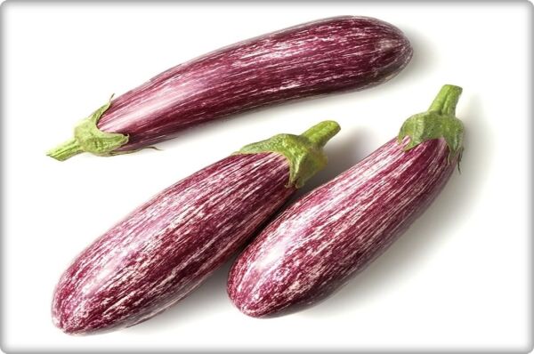 Çizgili Patlıcan Tohumu (10 Gr) Alaca Patlıcan