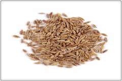 Arzuman Dereotu Tohumu (10 Gr)