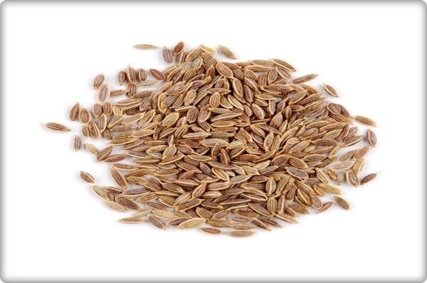 Arzuman Dereotu Tohumu (10 Gr)