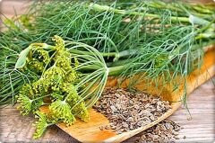 Arzuman Dereotu Tohumu (10 Gr)