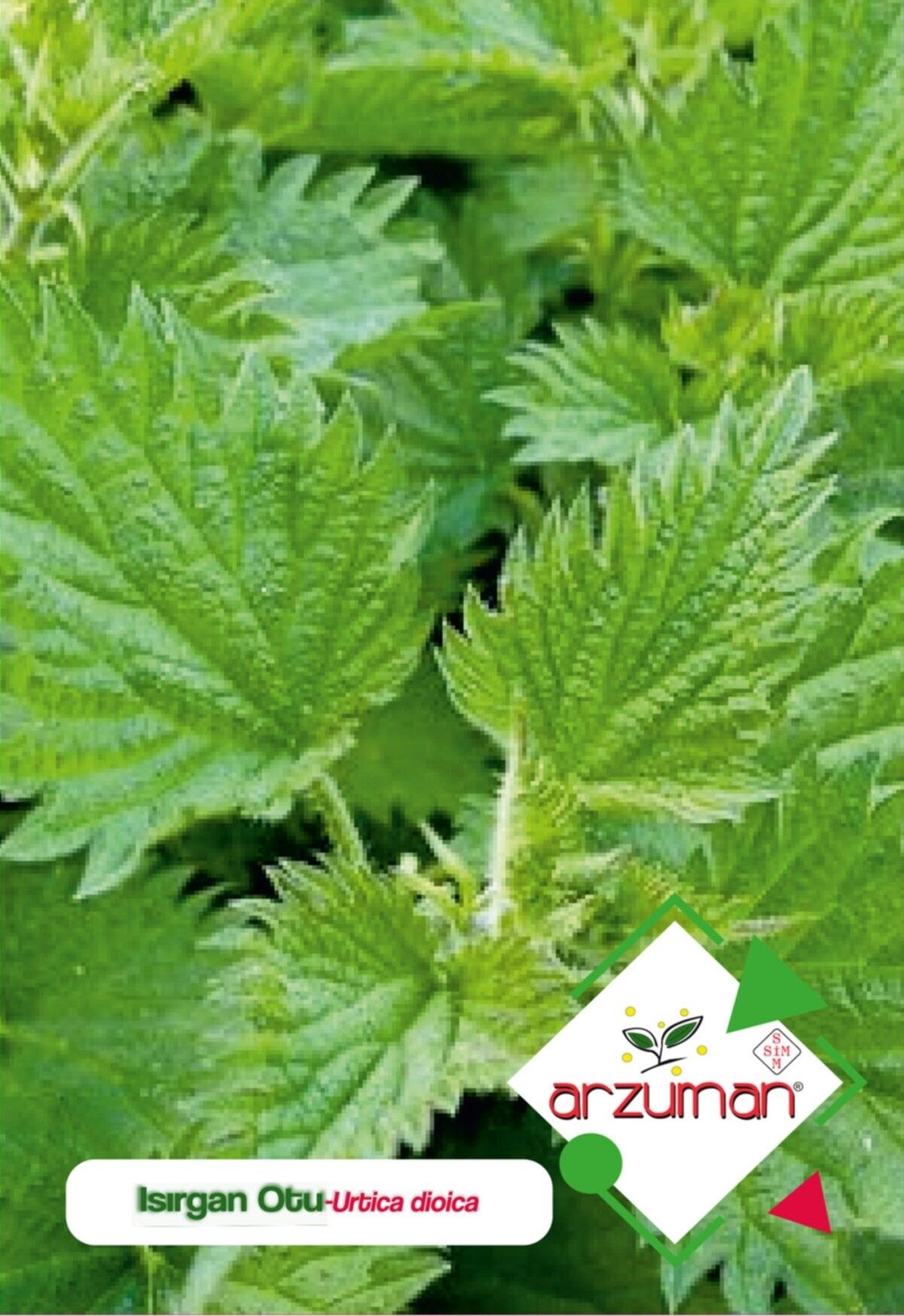 Doğal Isırgan Otu Tohumu (100 Adet)