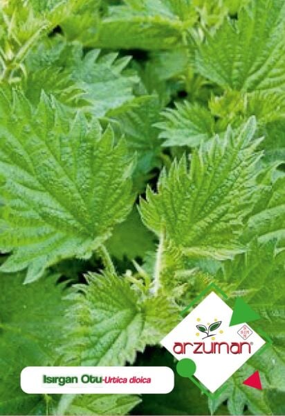 Doğal Isırgan Otu Tohumu (100 Adet)