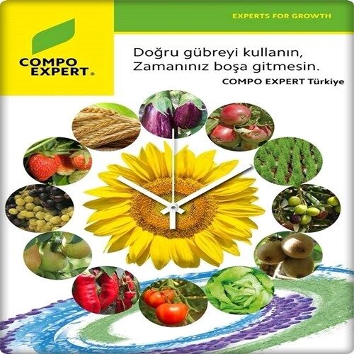 Bor Gübresi Nutribor (1 Kg) Ücretsiz Kargo