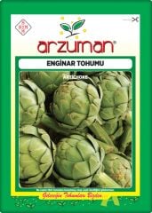 Enginar Tohumu (20 Adet)