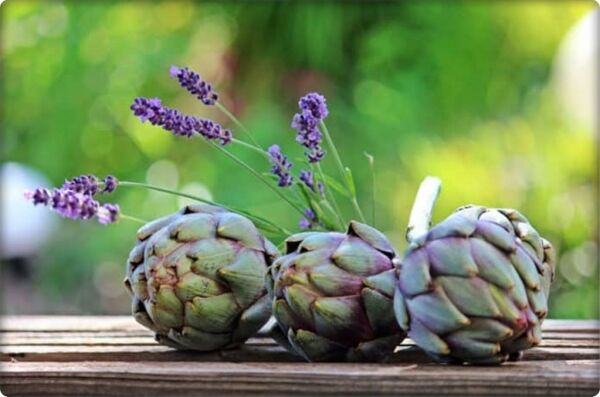 Enginar Tohumu (20 Adet)