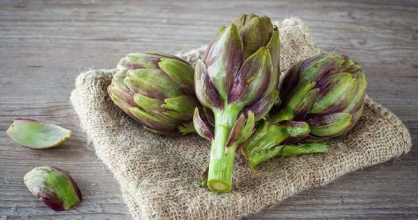 Enginar Tohumu (20 Adet)