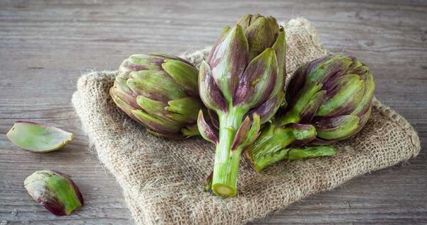 Enginar Tohumu (20 Adet)