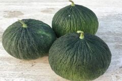 Hasanbey Kavun Tohumu (10 gr)