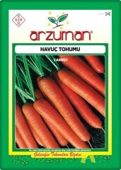 Havuç Tohumu (10 Gr)
