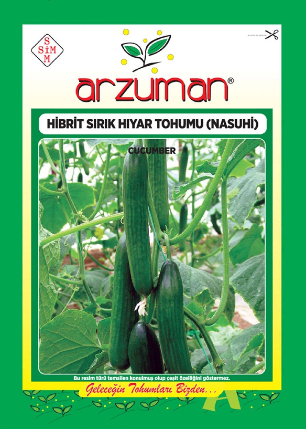 Hibrit Sırık Salatalık Tohumu (10 Adet) Nasuhi