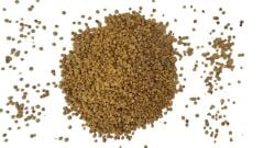 Ispanak Tohumu 1 Kg (Yerli) Kuzukulağı Çeşidi