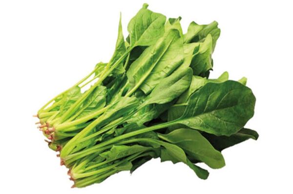 Ispanak Tohumu 1 Kg (Yerli) Kuzukulağı Çeşidi