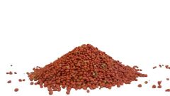 Ispanak Tohumu İthal (Matador Çeşidi) 250 Gr