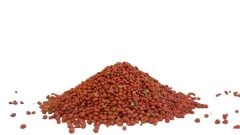 Ispanak Tohumu İthal (Matador Çeşidi) 250 Gr