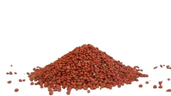 Ispanak Tohumu İthal (Matador Çeşidi) 250 Gr