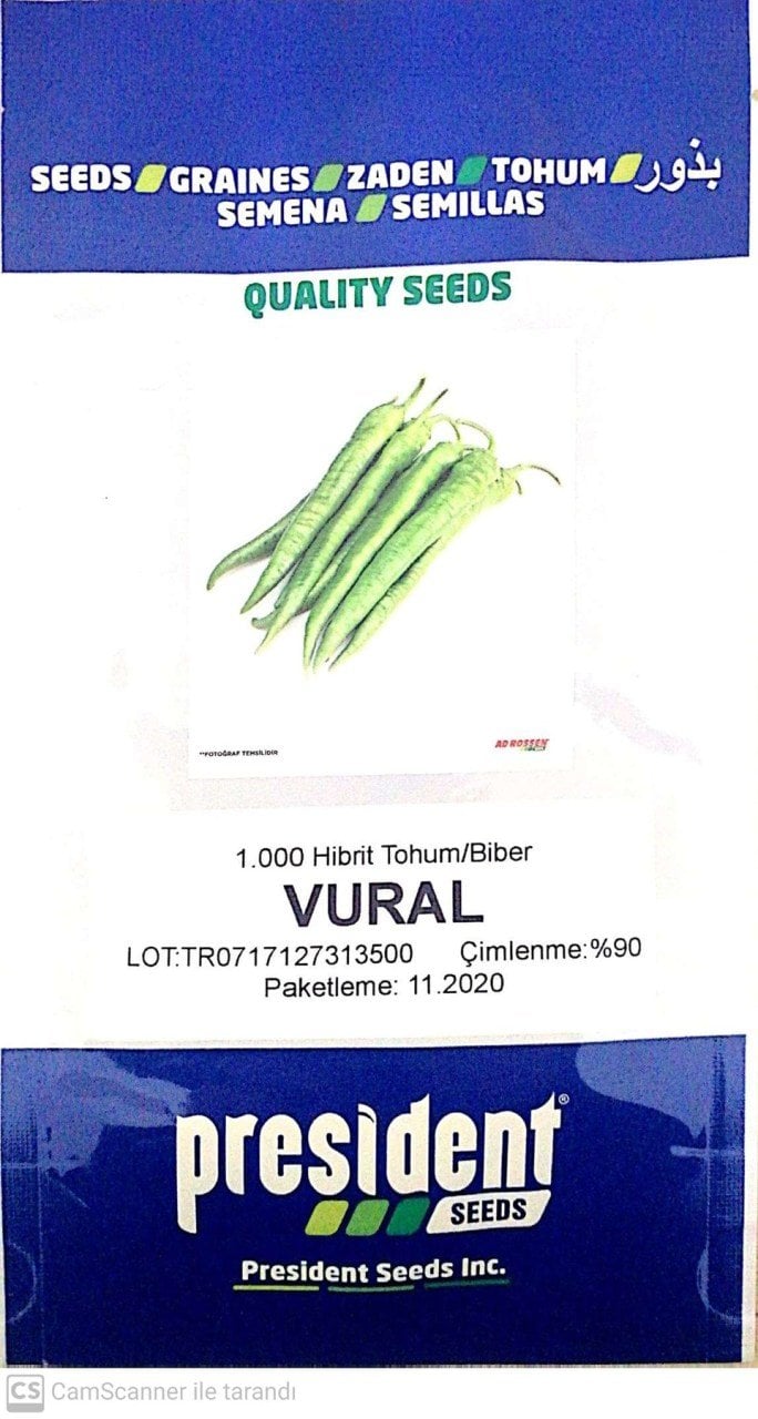 Vural F1 (Tatlı Demre Biber) Hibrit Tohum (1000 adet)
