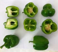 Krista F1 (Hibrit Dolma Biber Tohumu)(Koyu Renk)(1000 adet)