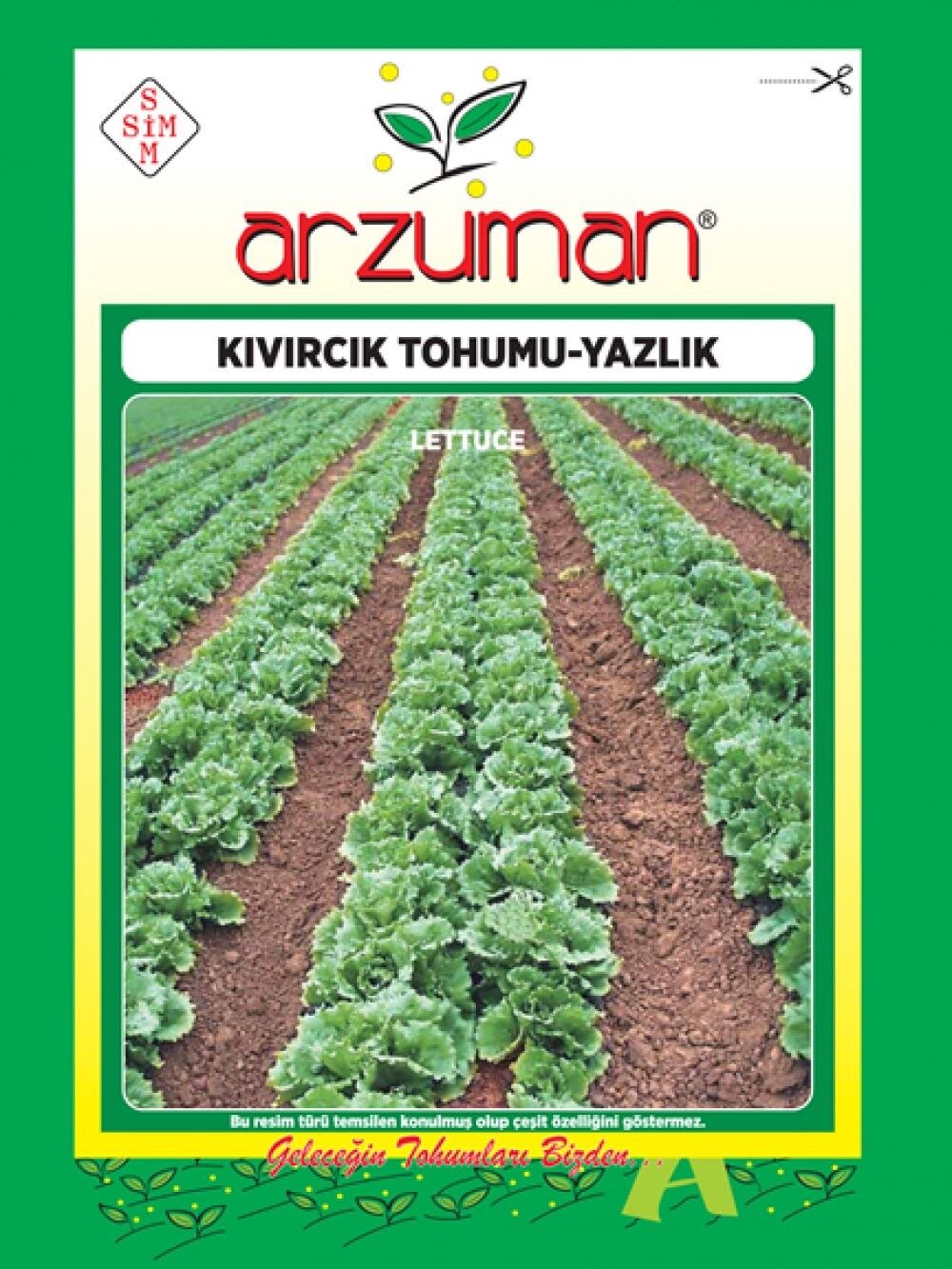 Yazlık Marul - Kıvırcık Tohumu   (10 gr)