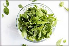 Tere Tohumu (10 Gr) Geniş Yapraklı Tere