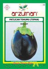 Top Patlıcan Tohumu (10 Gr) Topan Çeşidi