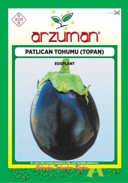 Top Patlıcan Tohumu (10 Gr) Topan Çeşidi