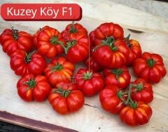 KUZEYKÖY F1 KÖY DOMATES TOHUMU(1000 ÇK)