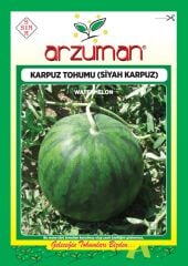 Siyah Karpuz Tohumu (10 Gr) Y.Washington 26