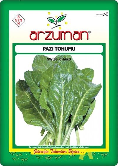 Pazı Tohumu (25 Gram) Geniş Yaprak