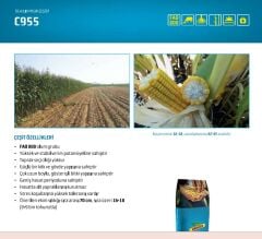 DEKALB C955 Uzun Boylu Silajlık Mısır Tohumu