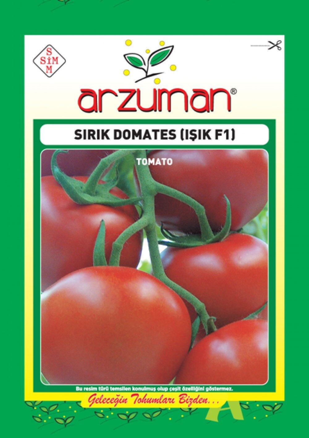 Sırık Domates (Işık F1 Hibrit) Tohumu (10 Adet)