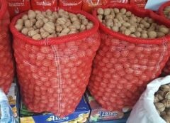SOĞAN ÇUVALI (50 KİLOLUK) 500 ADET 55*90