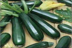 Kabak Tohumu Siyah Kabak (10 Gr) Kolsuz