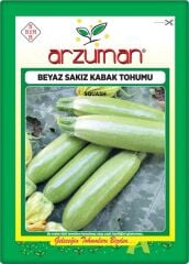 Kabak Tohumu Beyaz Sakız Kabak (10 Gr)