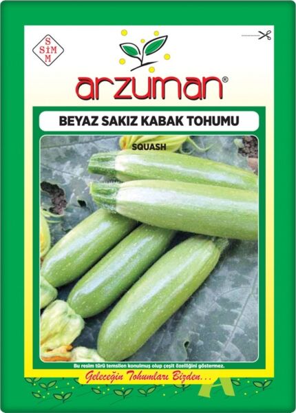 Kabak Tohumu Beyaz Sakız Kabak (10 Gr)